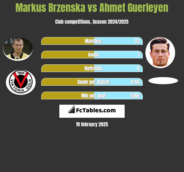 Markus Brzenska vs Ahmet Guerleyen h2h player stats