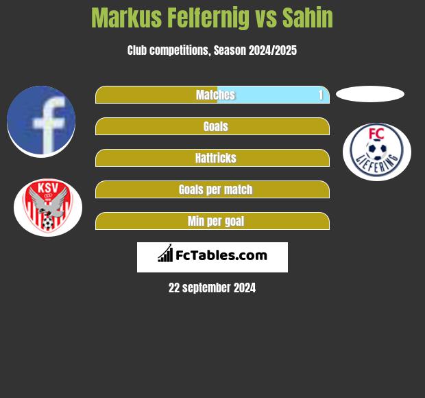 Markus Felfernig vs Sahin h2h player stats