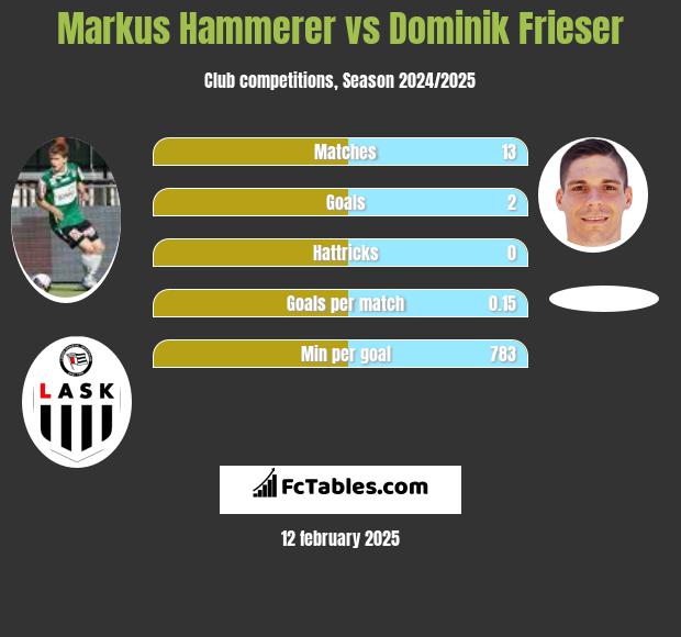 Markus Hammerer vs Dominik Frieser h2h player stats