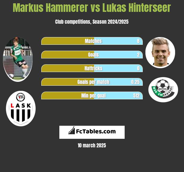 Markus Hammerer vs Lukas Hinterseer h2h player stats