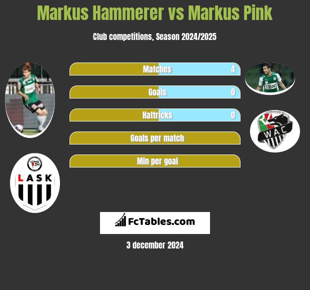 Markus Hammerer vs Markus Pink h2h player stats