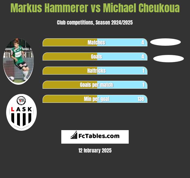 Markus Hammerer vs Michael Cheukoua h2h player stats