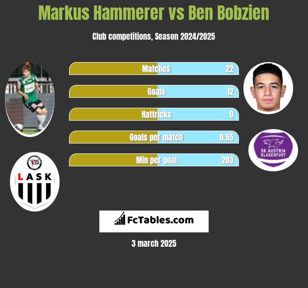 Markus Hammerer vs Ben Bobzien h2h player stats