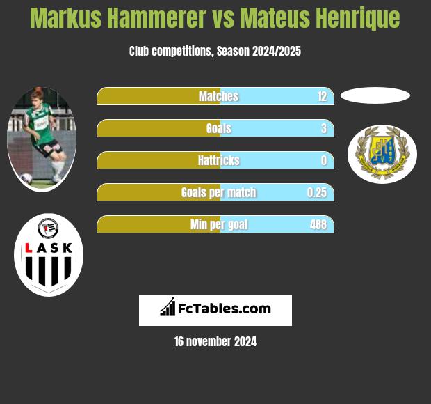 Markus Hammerer vs Mateus Henrique h2h player stats