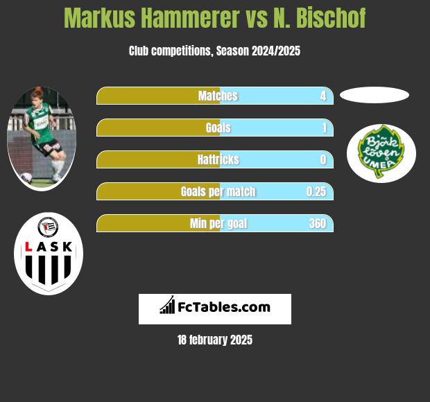 Markus Hammerer vs N. Bischof h2h player stats