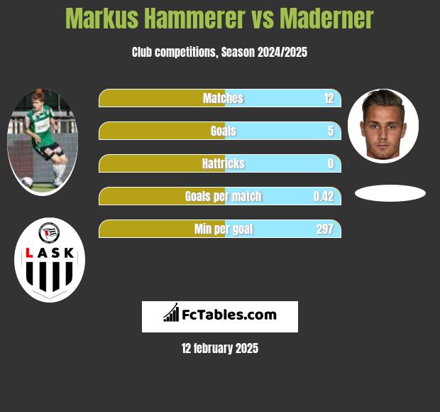 Markus Hammerer vs Maderner h2h player stats