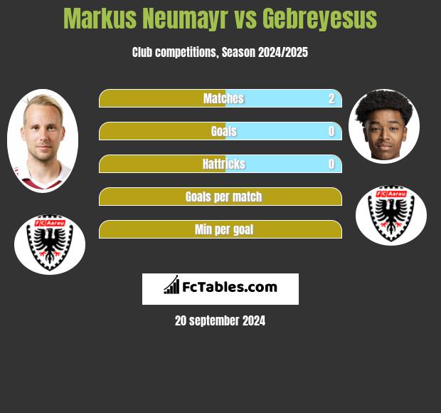 Markus Neumayr vs Gebreyesus h2h player stats