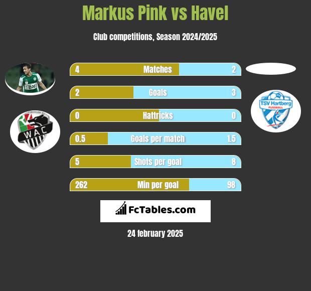 Markus Pink vs Havel h2h player stats