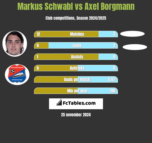 Markus Schwabl vs Axel Borgmann h2h player stats