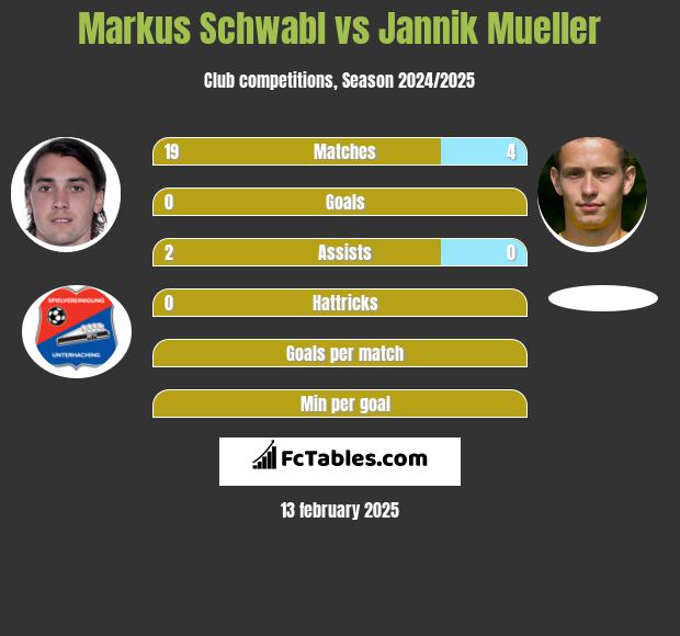 Markus Schwabl vs Jannik Mueller h2h player stats