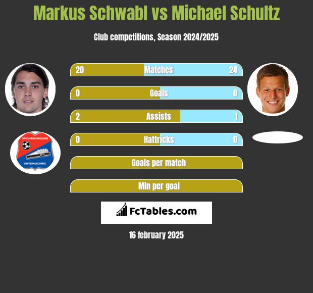 Markus Schwabl vs Michael Schultz h2h player stats