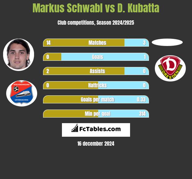 Markus Schwabl vs D. Kubatta h2h player stats