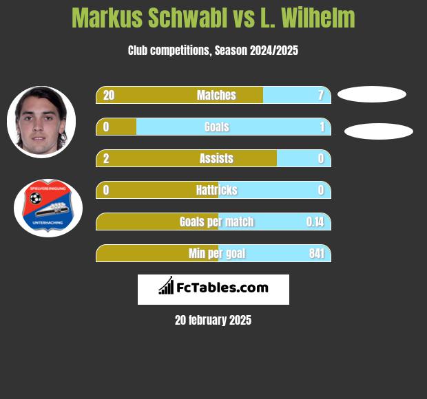 Markus Schwabl vs L. Wilhelm h2h player stats