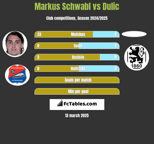 Markus Schwabl vs Dulic h2h player stats