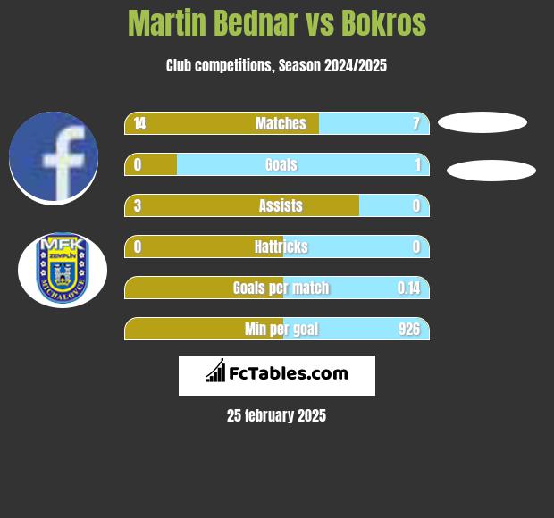 Martin Bednar vs Bokros h2h player stats