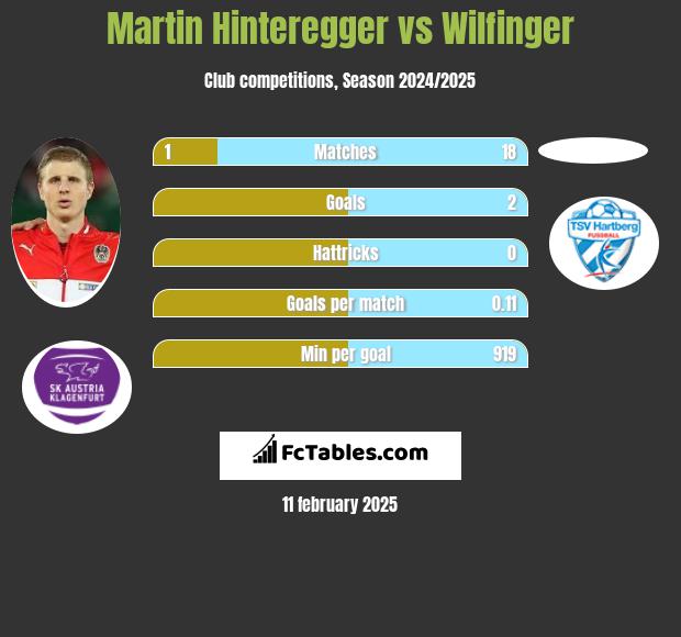 Martin Hinteregger vs Wilfinger h2h player stats