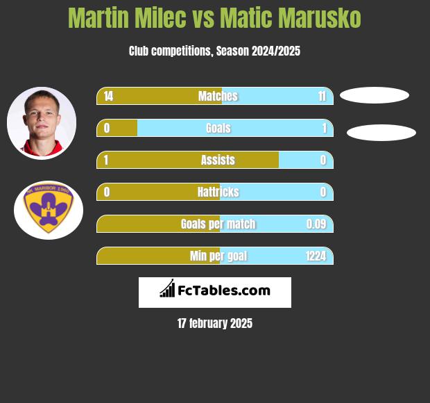 Martin Milec vs Matic Marusko h2h player stats