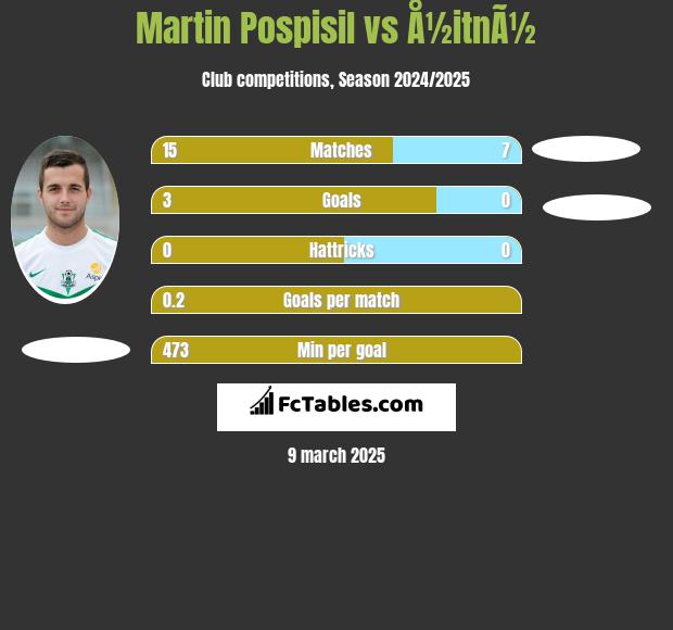 Martin Pospisil vs Å½itnÃ½ h2h player stats