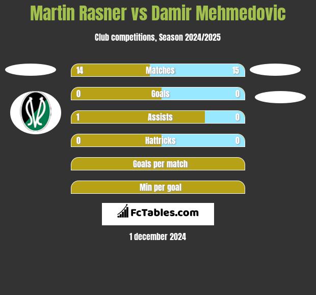 Martin Rasner vs Damir Mehmedovic h2h player stats