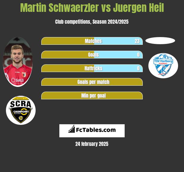 Martin Schwaerzler vs Juergen Heil h2h player stats