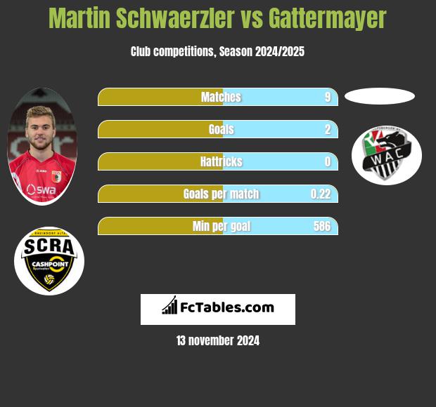 Martin Schwaerzler vs Gattermayer h2h player stats