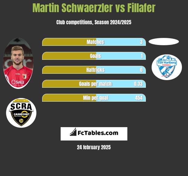 Martin Schwaerzler vs Fillafer h2h player stats