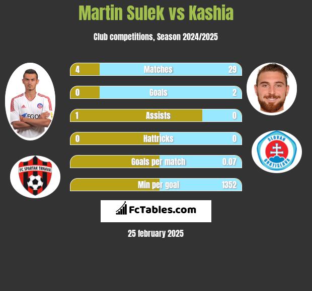 Martin Sulek vs Kashia h2h player stats