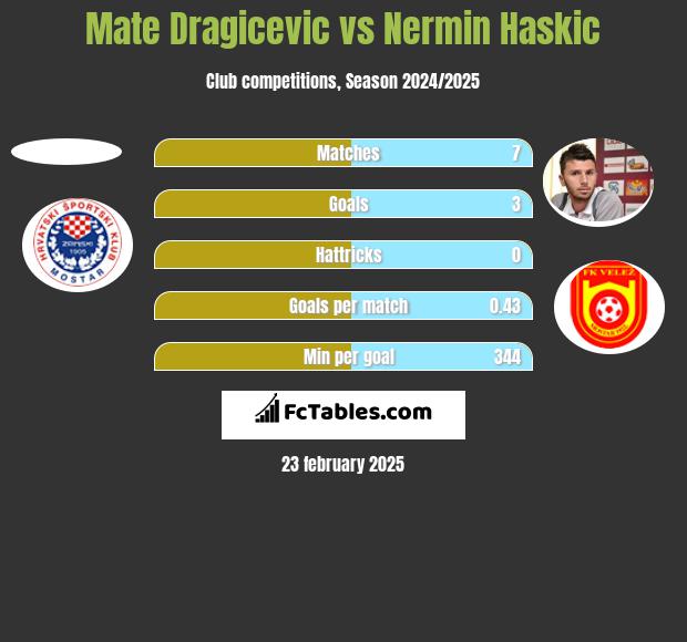 Mate Dragicevic vs Nermin Haskic h2h player stats