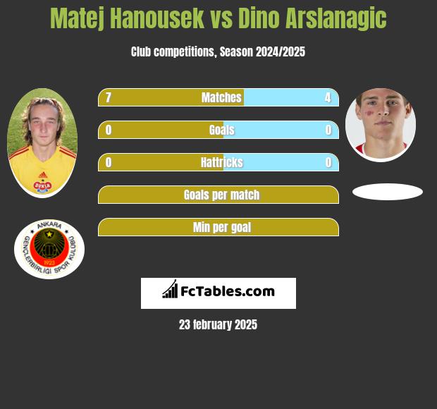 Matej Hanousek vs Dino Arslanagic h2h player stats