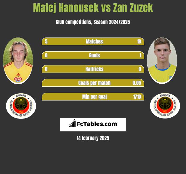 Matej Hanousek vs Zan Zuzek h2h player stats