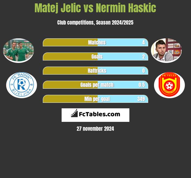 Matej Jelic vs Nermin Haskic h2h player stats