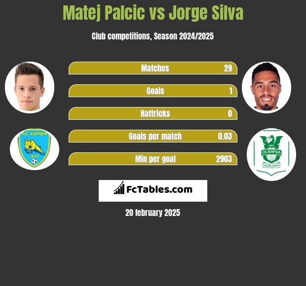 Matej Palcic vs Jorge Silva h2h player stats