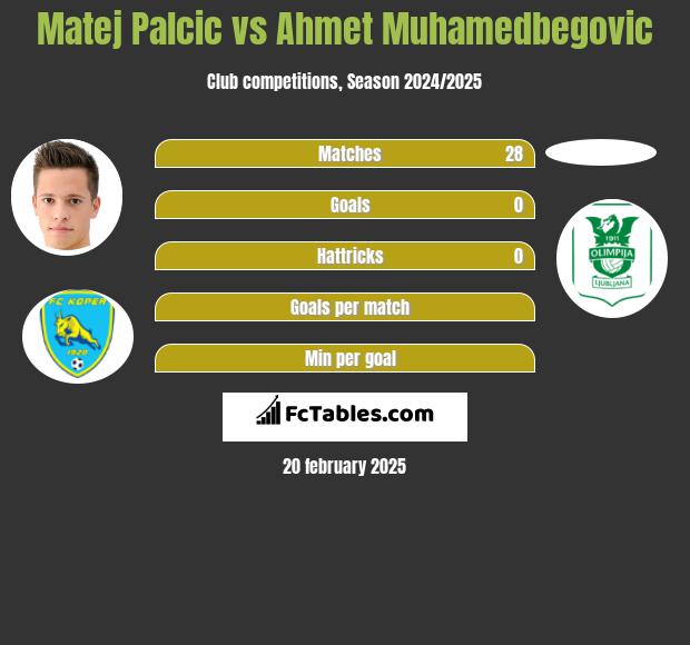 Matej Palcic vs Ahmet Muhamedbegovic h2h player stats