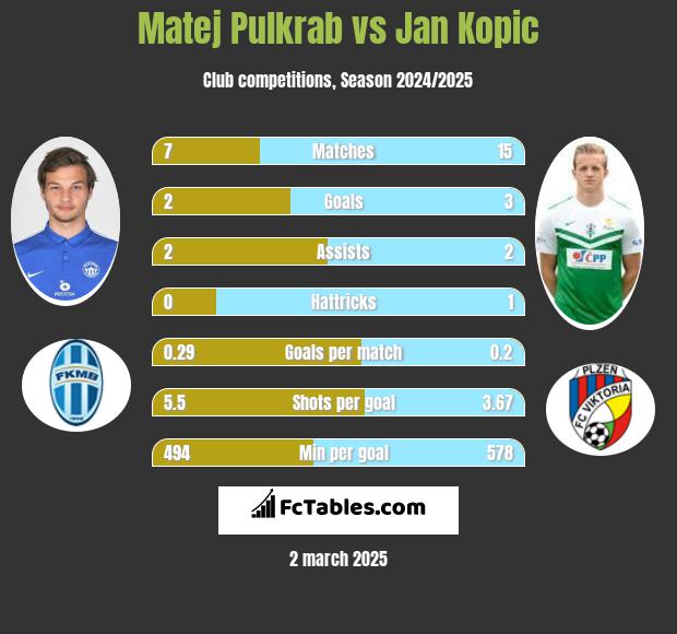 Matej Pulkrab vs Jan Kopic h2h player stats