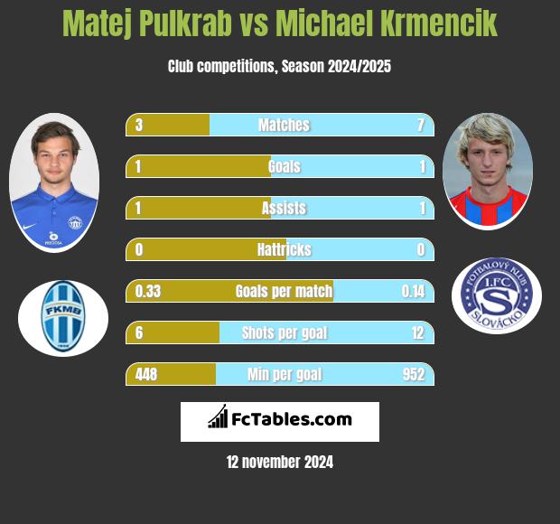 Matej Pulkrab vs Michael Krmencik h2h player stats