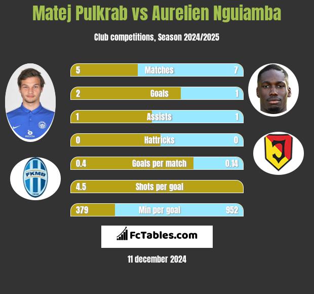 Matej Pulkrab vs Aurelien Nguiamba h2h player stats