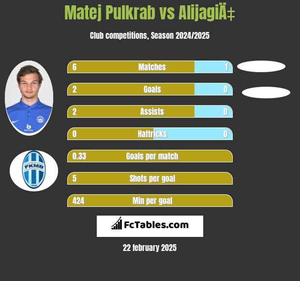 Matej Pulkrab vs AlijagiÄ‡ h2h player stats