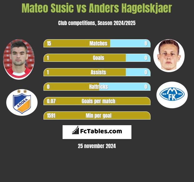 Mateo Susic vs Anders Hagelskjaer h2h player stats