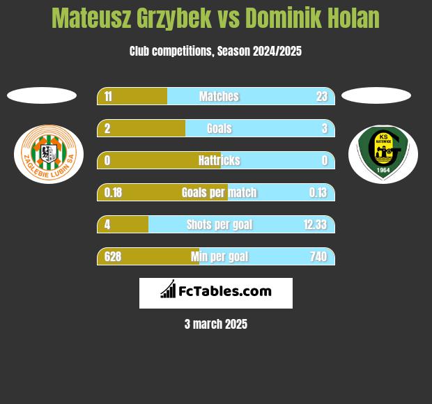 Mateusz Grzybek vs Dominik Holan h2h player stats