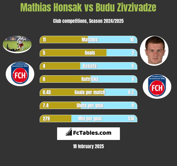 Mathias Honsak vs Budu Zivzivadze h2h player stats