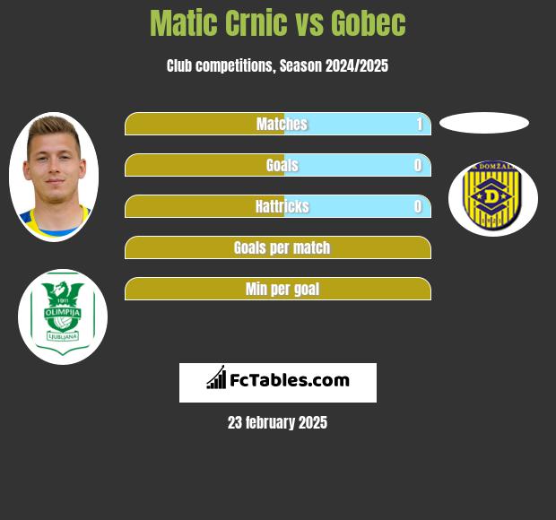 Matic Crnic vs Gobec h2h player stats