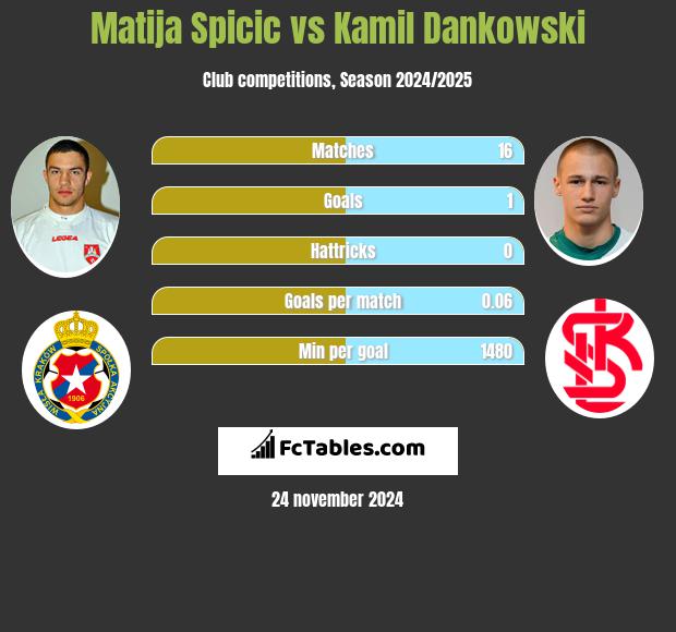 Matija Spicic vs Kamil Dankowski h2h player stats