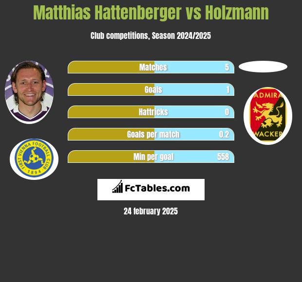 Matthias Hattenberger vs Holzmann h2h player stats