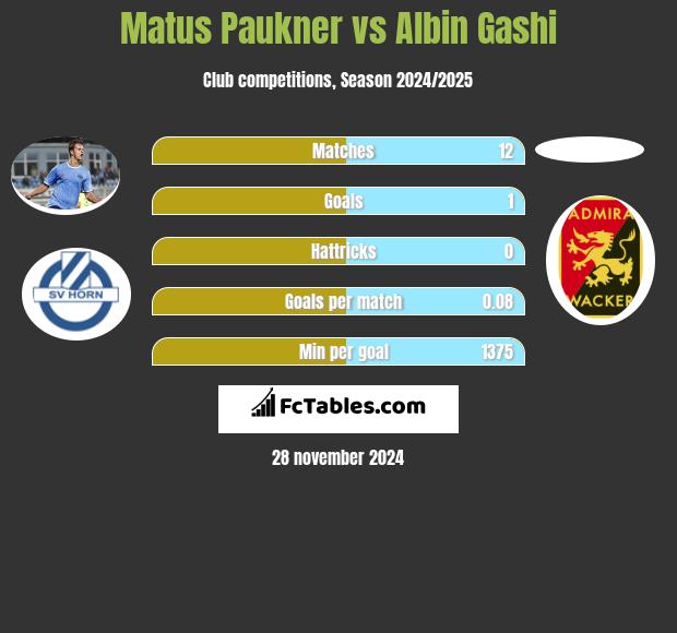 Matus Paukner vs Albin Gashi h2h player stats