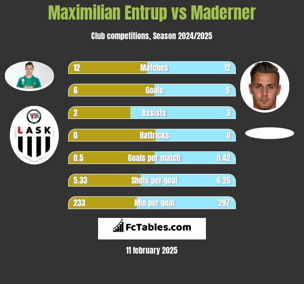 Maximilian Entrup vs Maderner h2h player stats