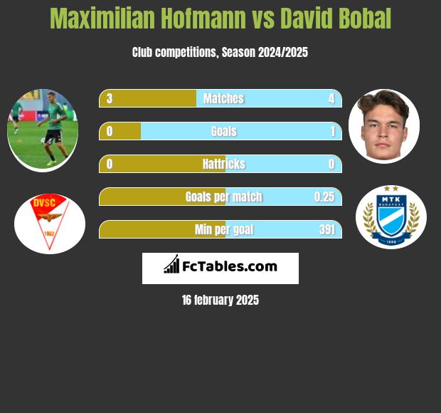 Maximilian Hofmann vs David Bobal h2h player stats