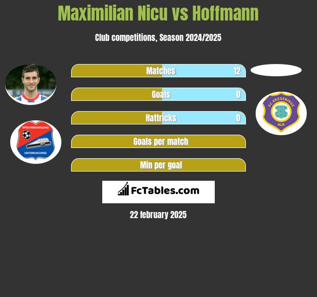 Maximilian Nicu vs Hoffmann h2h player stats