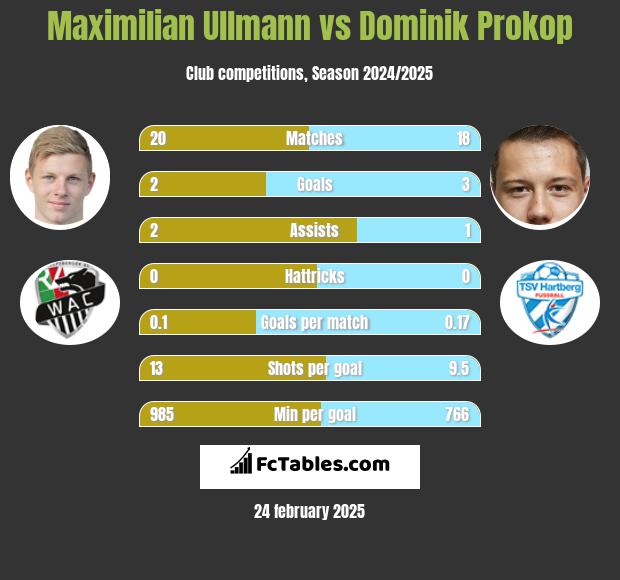 Maximilian Ullmann vs Dominik Prokop h2h player stats