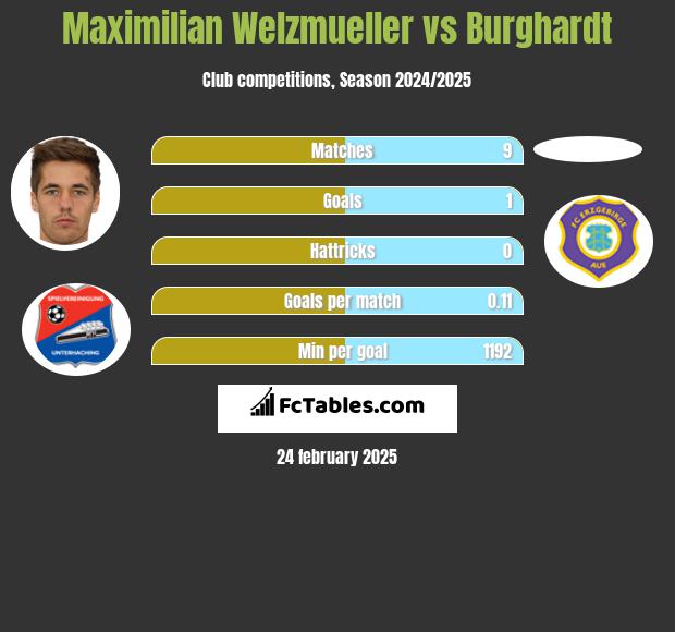 Maximilian Welzmueller vs Burghardt h2h player stats