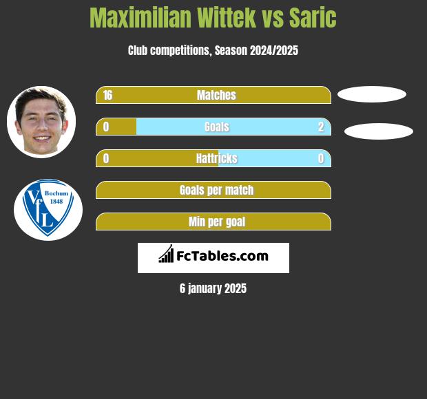 Maximilian Wittek vs Saric h2h player stats